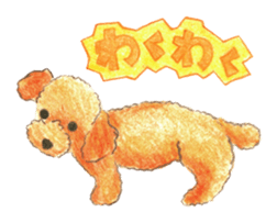 The pretty toy poodle sticker #2947684
