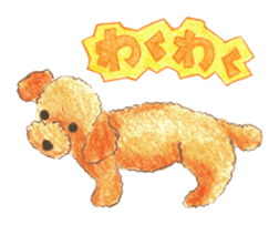 The pretty toy poodle sticker #2947684