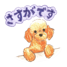 The pretty toy poodle sticker #2947686