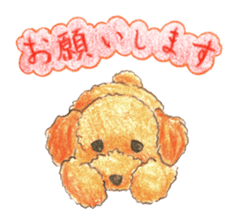 The pretty toy poodle sticker #2947687