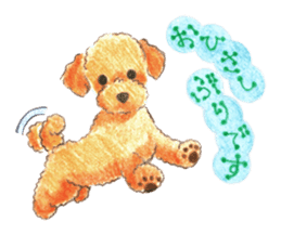 The pretty toy poodle sticker #2947688