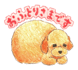 The pretty toy poodle sticker #2947690