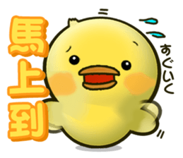 Cute Little Chicken Sticker sticker #2952481