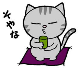 A stray cat & a Scottish Fold kitten sticker #2956108