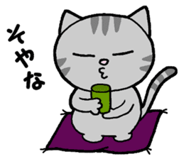 A stray cat & a Scottish Fold kitten sticker #2956108