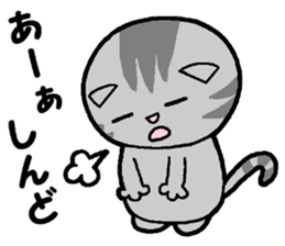 A stray cat & a Scottish Fold kitten sticker #2956115