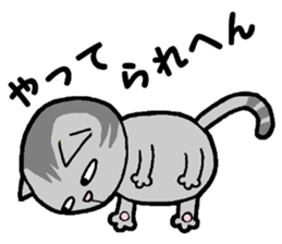 A stray cat & a Scottish Fold kitten sticker #2956116