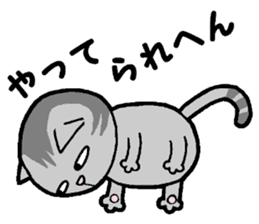 A stray cat & a Scottish Fold kitten sticker #2956116