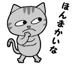 A stray cat & a Scottish Fold kitten sticker #2956121