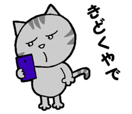 A stray cat & a Scottish Fold kitten sticker #2956123