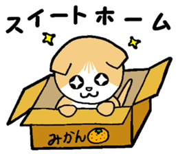 A stray cat & a Scottish Fold kitten sticker #2956126