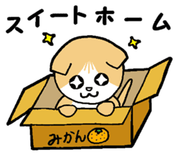 A stray cat & a Scottish Fold kitten sticker #2956126