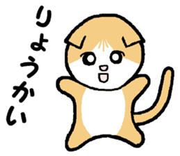 A stray cat & a Scottish Fold kitten sticker #2956127
