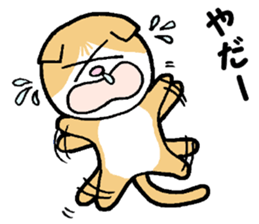 A stray cat & a Scottish Fold kitten sticker #2956128