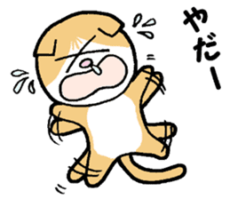 A stray cat & a Scottish Fold kitten sticker #2956128