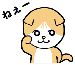 A stray cat & a Scottish Fold kitten sticker #2956129