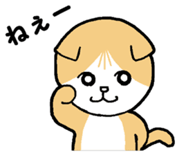 A stray cat & a Scottish Fold kitten sticker #2956129