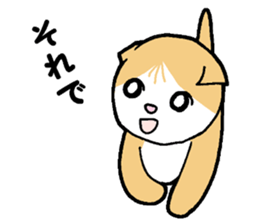 A stray cat & a Scottish Fold kitten sticker #2956131