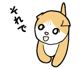 A stray cat & a Scottish Fold kitten sticker #2956131