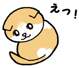 A stray cat & a Scottish Fold kitten sticker #2956132