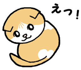A stray cat & a Scottish Fold kitten sticker #2956132