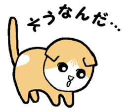 A stray cat & a Scottish Fold kitten sticker #2956134