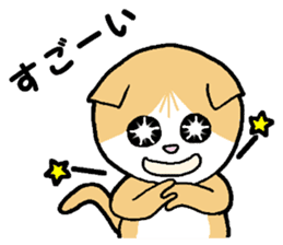 A stray cat & a Scottish Fold kitten sticker #2956135