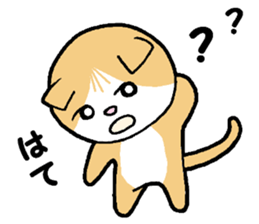 A stray cat & a Scottish Fold kitten sticker #2956136