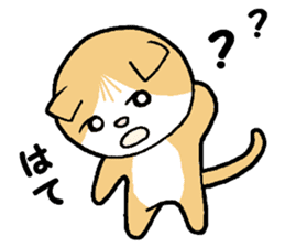 A stray cat & a Scottish Fold kitten sticker #2956136