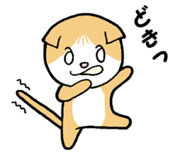 A stray cat & a Scottish Fold kitten sticker #2956137