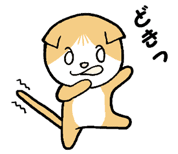 A stray cat & a Scottish Fold kitten sticker #2956137