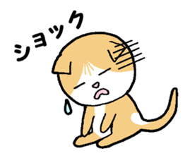 A stray cat & a Scottish Fold kitten sticker #2956138
