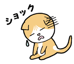 A stray cat & a Scottish Fold kitten sticker #2956138