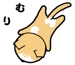 A stray cat & a Scottish Fold kitten sticker #2956139