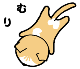 A stray cat & a Scottish Fold kitten sticker #2956139