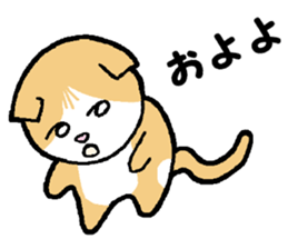 A stray cat & a Scottish Fold kitten sticker #2956140