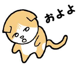 A stray cat & a Scottish Fold kitten sticker #2956140