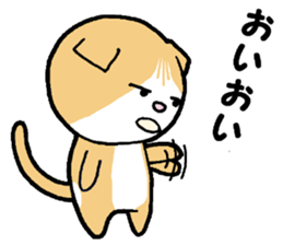 A stray cat & a Scottish Fold kitten sticker #2956141