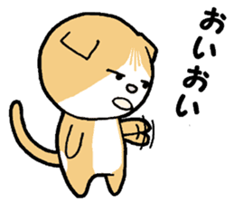 A stray cat & a Scottish Fold kitten sticker #2956141