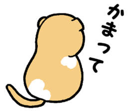 A stray cat & a Scottish Fold kitten sticker #2956142