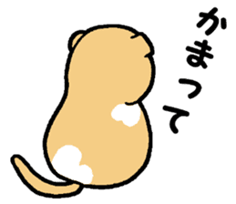 A stray cat & a Scottish Fold kitten sticker #2956142