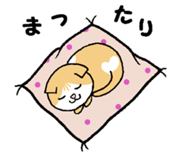 A stray cat & a Scottish Fold kitten sticker #2956143