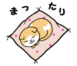 A stray cat & a Scottish Fold kitten sticker #2956143