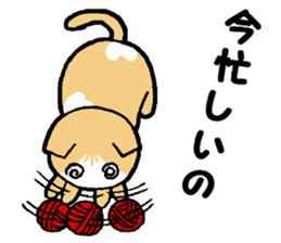 A stray cat & a Scottish Fold kitten sticker #2956144