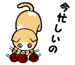 A stray cat & a Scottish Fold kitten sticker #2956144