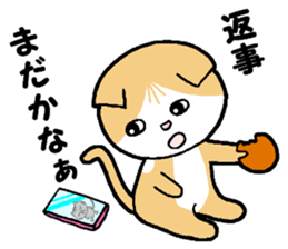 A stray cat & a Scottish Fold kitten sticker #2956146