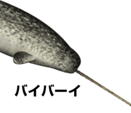 REALISTIC DOLPHINS sticker #2957794