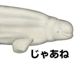 REALISTIC DOLPHINS sticker #2957795