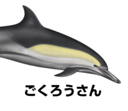 REALISTIC DOLPHINS sticker #2957802