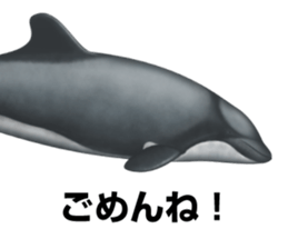 REALISTIC DOLPHINS sticker #2957803